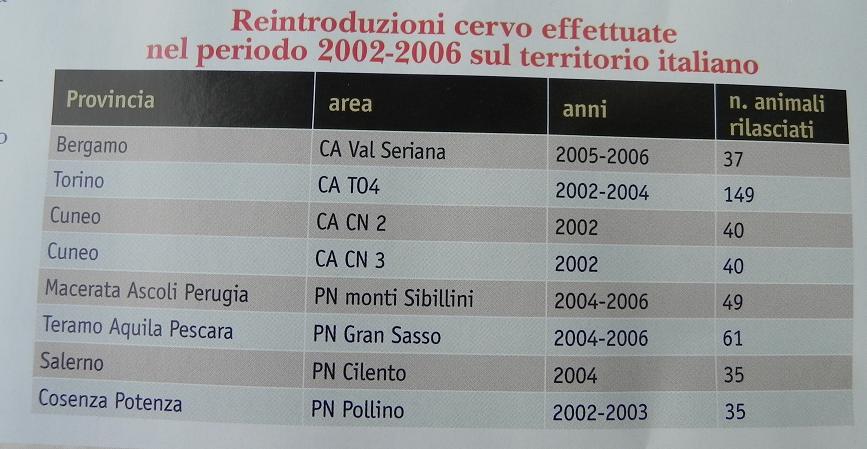 PASSIONE PER IL CERVO